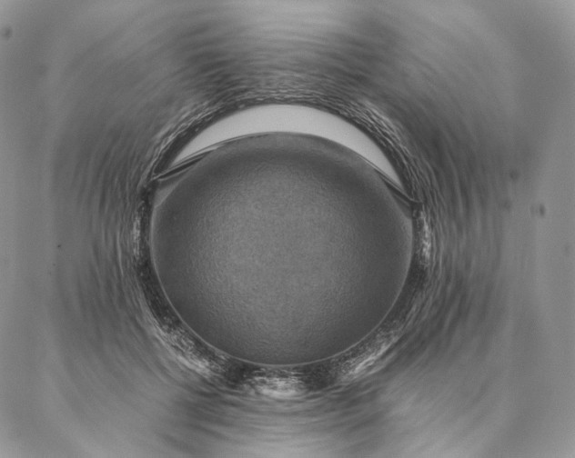 X0000086940552200704231400