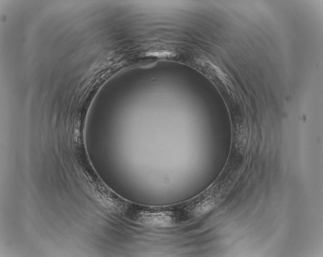X0000086940553200704231400