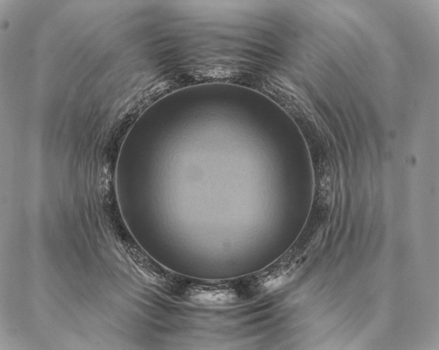 X0000086940555200704231400