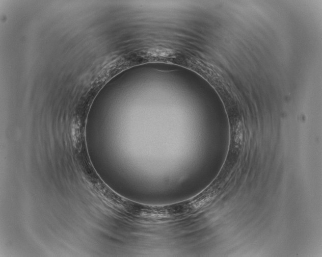 X0000086940559200704231400