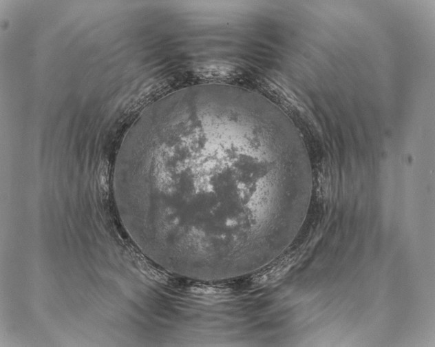 X0000086940561200704231400