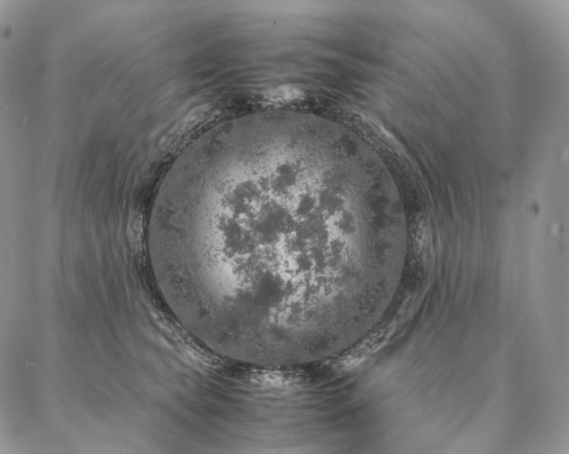 X0000086940565200704231400