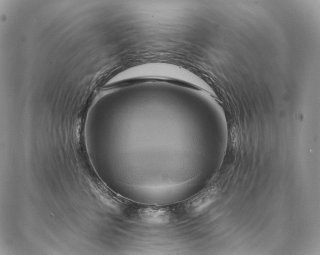 X0000086940570200704231400