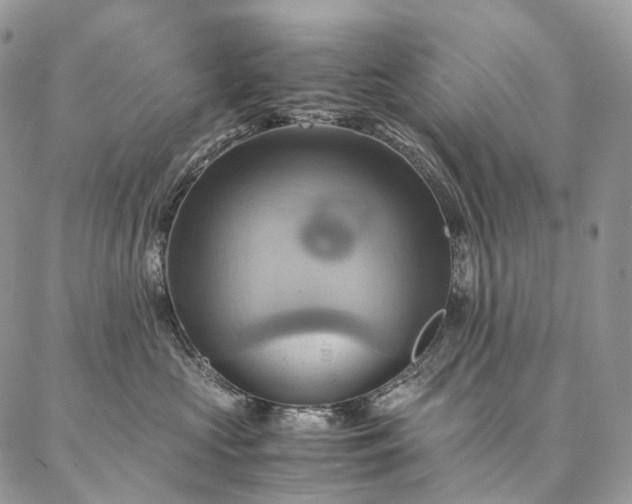 X0000086940573200704231400