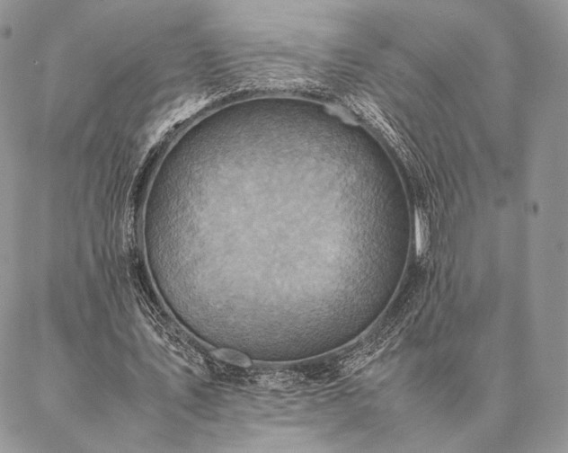 X0000086940579200704231400