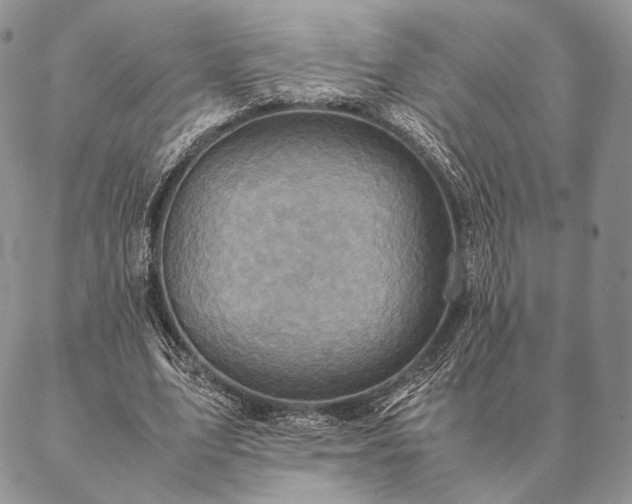 X0000086940583200704231400