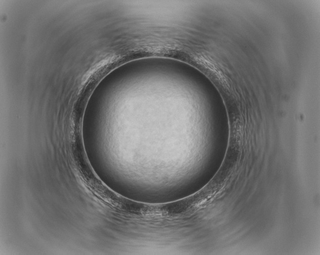 X0000086940587200704231359