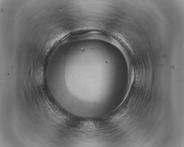 X0000086940588200704231359
