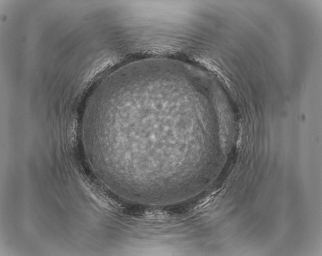 X0000086940591200704231359
