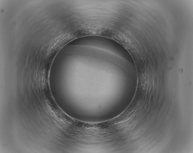 X0000086940594200704231359