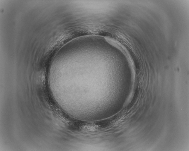 X0000086940595200704231359