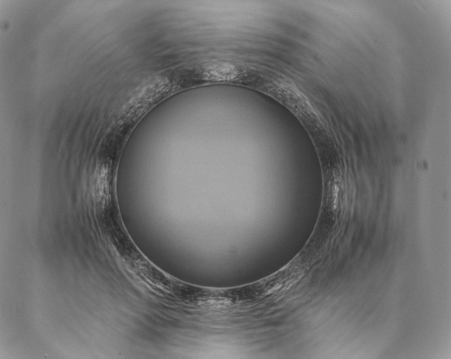 X0000086940598200704231359