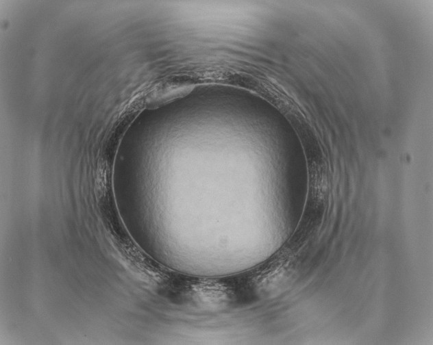X0000086940603200704231359