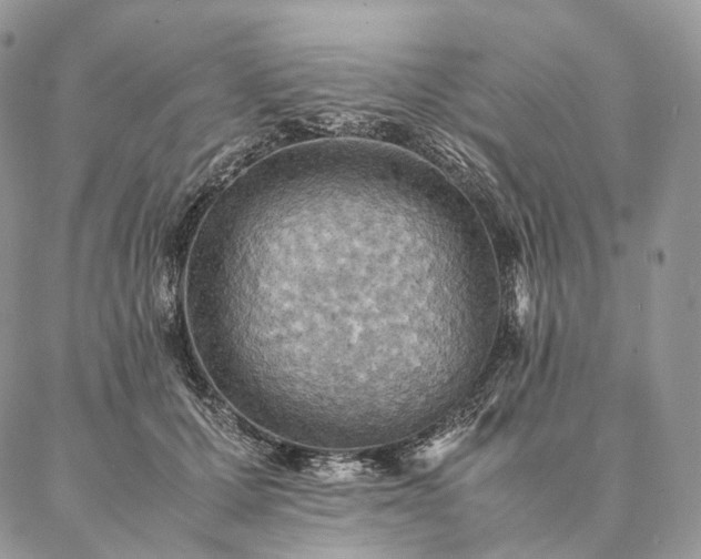 X0000086940607200704231359