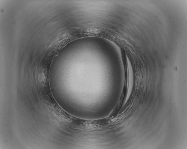 X0000086940608200704231359