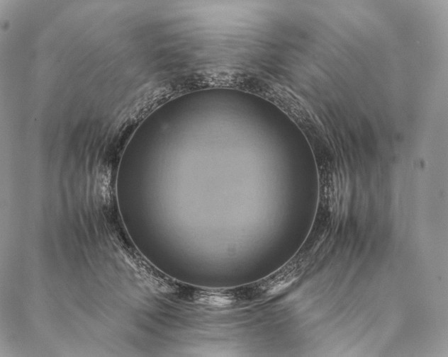 X0000086940610200704231359