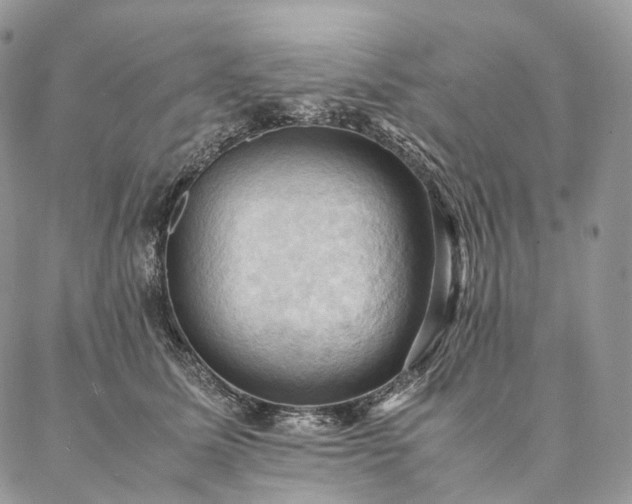 X0000086940611200704231359