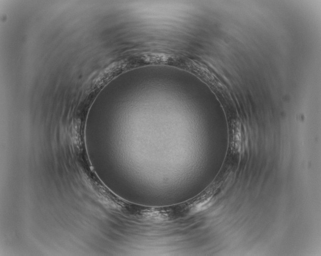 X0000086940616200704231359