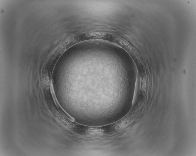X0000086940617200704231359