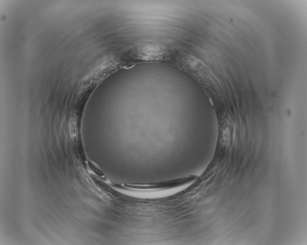 X0000086940620200704231359