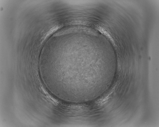X0000086940625200704231358