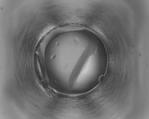 X0000086940626200704231358