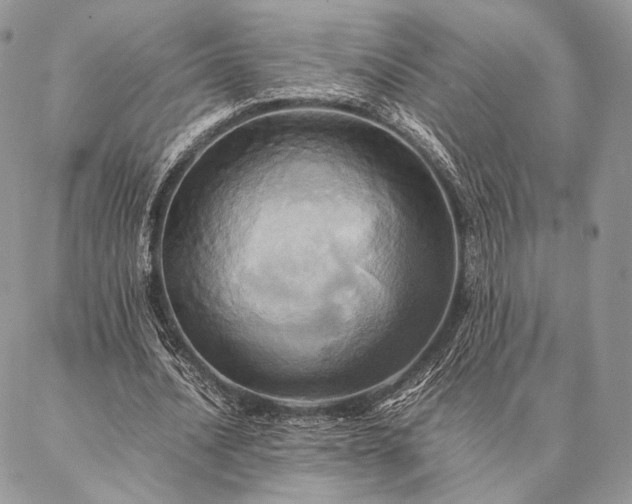 X0000086940628200704231358