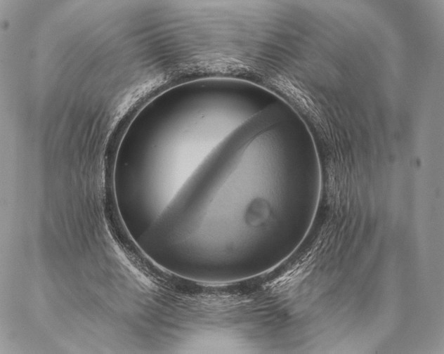 X0000086940630200704231358