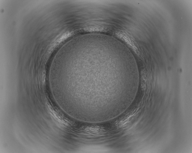 X0000086940631200704231358