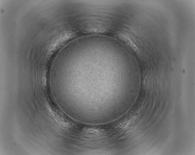 X0000086940635200704231358