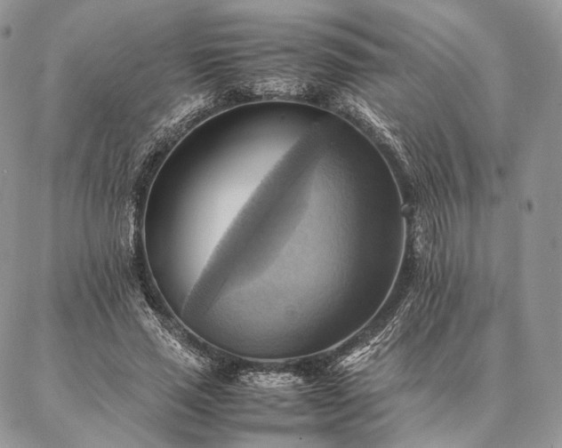 X0000086940637200704231358