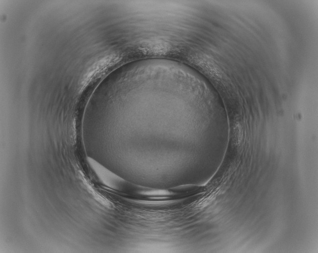 X0000086940638200704231358