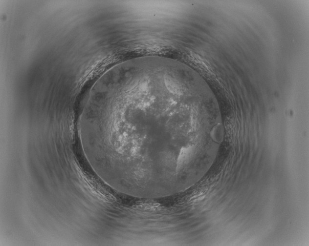 X0000086940642200704231358