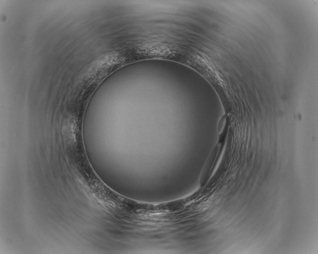 X0000086940643200704231358