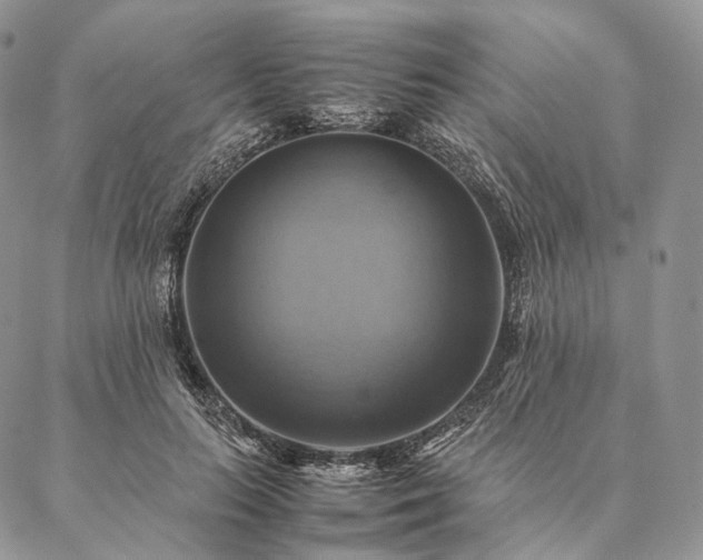 X0000086940647200704231358