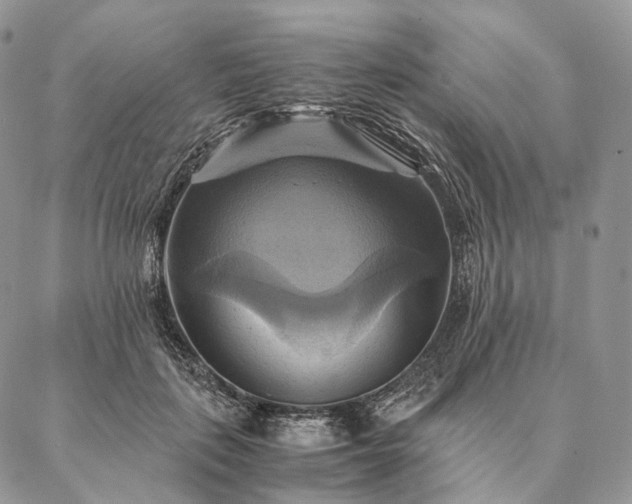 X0000086940651200704231359