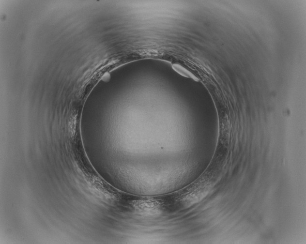 X0000086940652200704231359