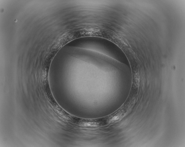 X0000086940657200704231359