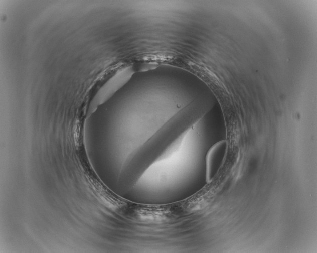 X0000086940661200704231359