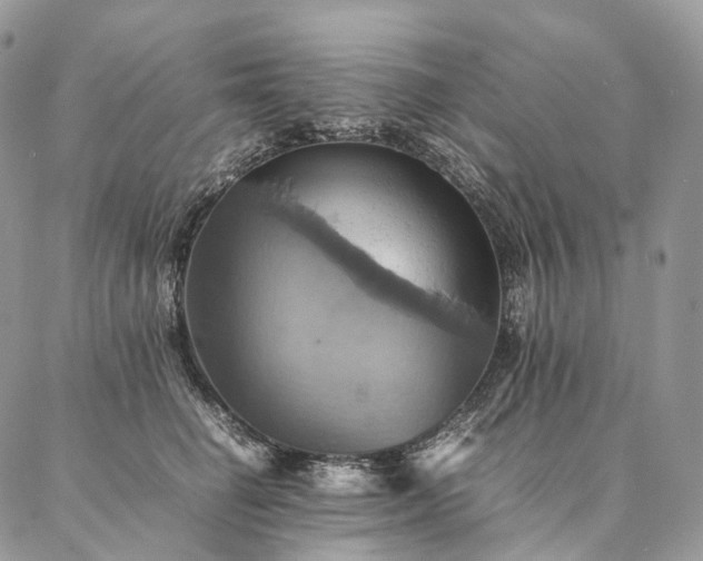 X0000086940662200704231359