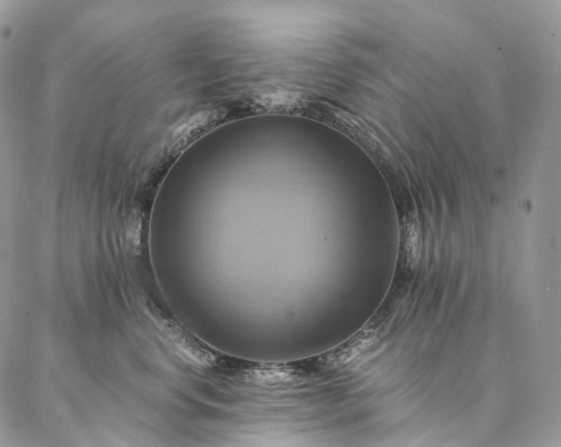 X0000086940668200704231359