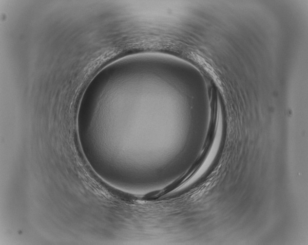 X0000086940673200704231358
