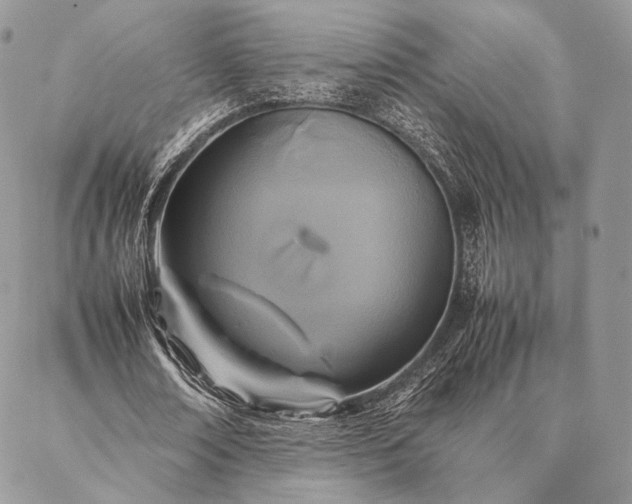 X0000086940674200704231358