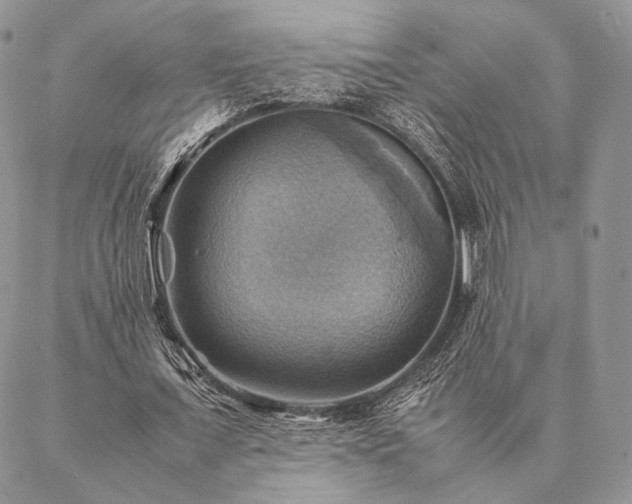 X0000086940675200704231358