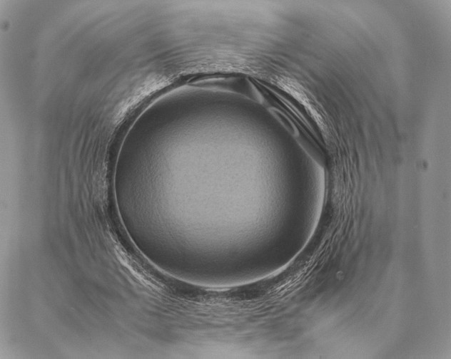 X0000086940677200704231358