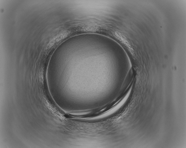 X0000086940681200704231358
