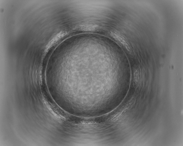 X0000086940682200704231358