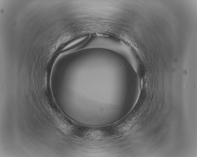 X0000086940685200704231358