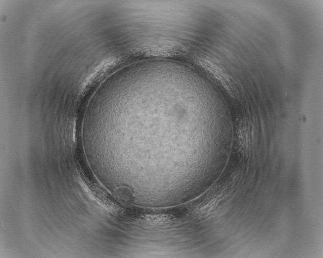 X0000086940686200704231358