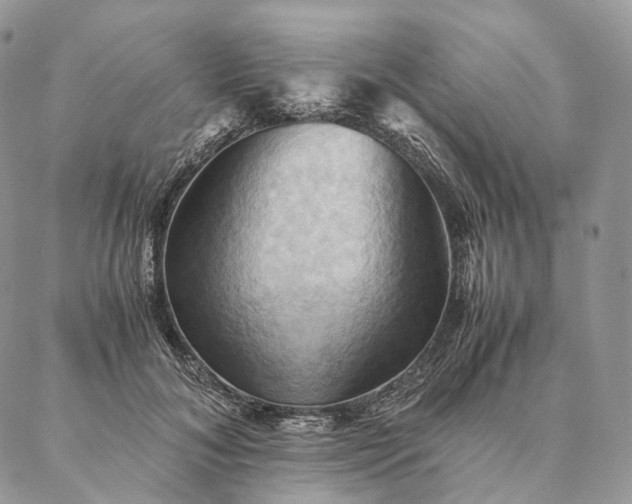 X0000086940700200704231358